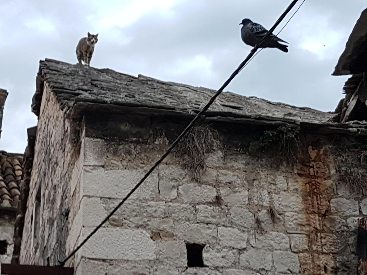 Vukovarska Rose Apartment Kastela Bagian luar foto